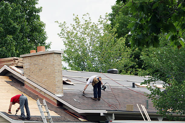Best Rubber Roofing (EPDM, TPO)  in Reese, MI
