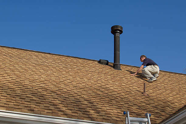 Best Hot Roofs  in Reese, MI